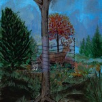 collage with postage stamps